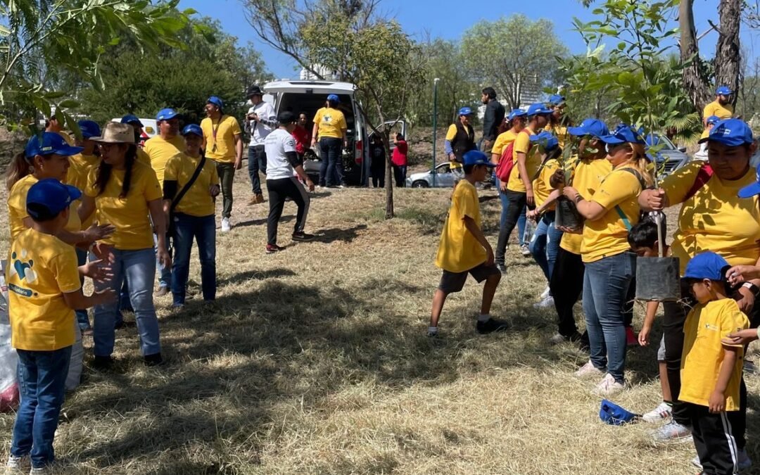GOBIERNO DEL CAMBIO REFORESTA PARQUE TANGAMANGA I