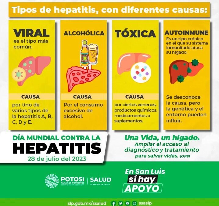 DETECCIÓN TEMPRANA DE HEPATITIS, NECESARIA PARA ERRADICAR LA ENFERMEDAD.