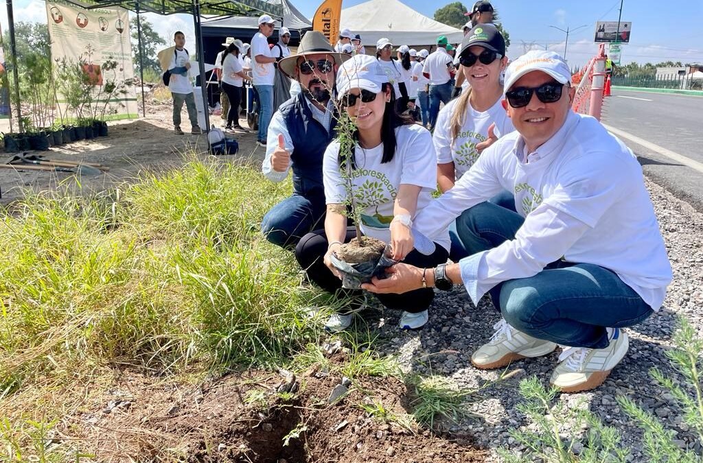 GOBIERNO ESTATAL IMPULSA PROYECTO DE REFORESTACIÓN EN SOLEDAD