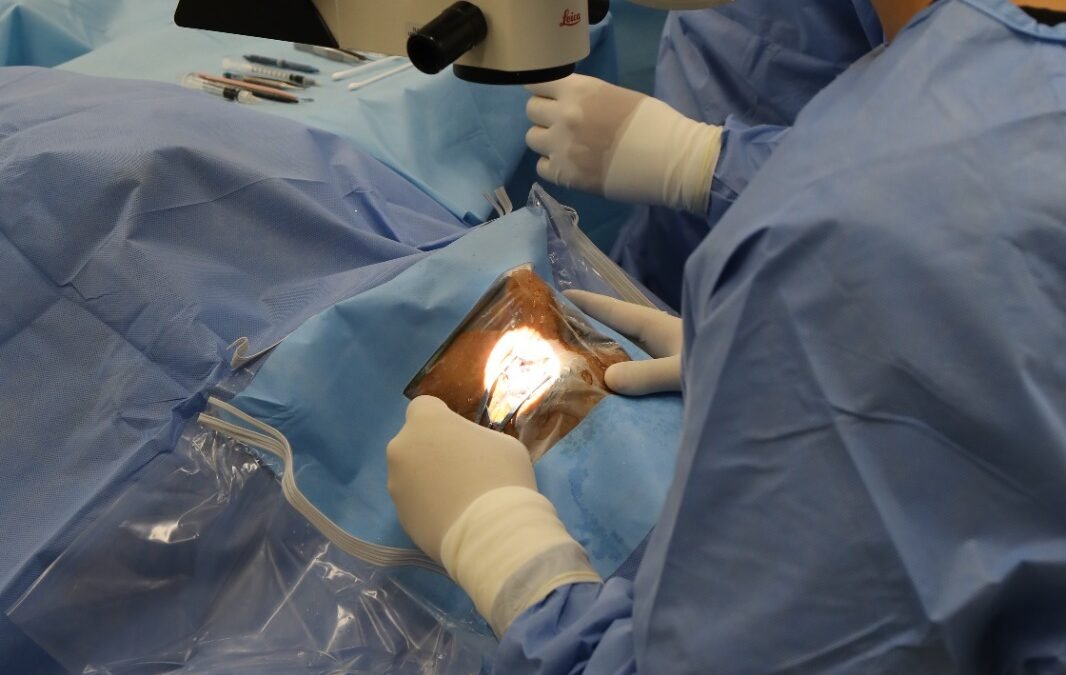 POTOSINOS AGRADECEN APOYO PARA RECUPERAR LA VISTA