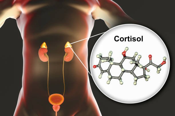 SE RECOMIENDA A LA POBLACIÓN POTOSINA UTILIZAR BARMICIL Y SUS GENÉRICOS SOLO BAJO PRESCRIPCIÓN MÉDICA
