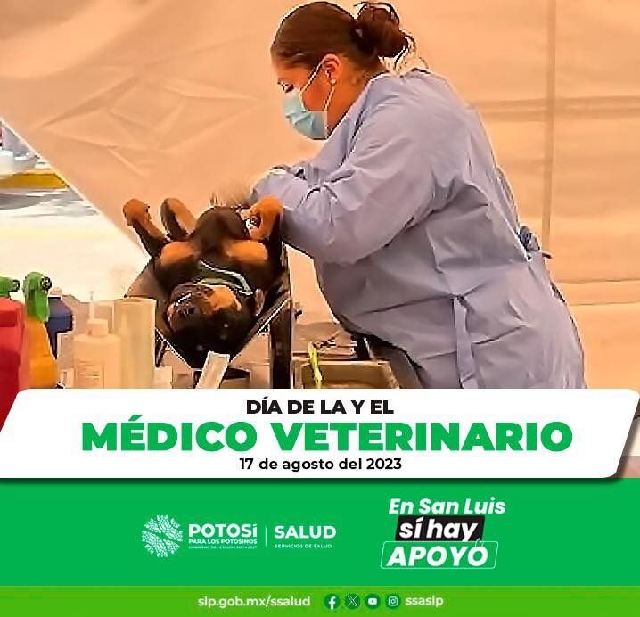 ESTE 17 DE AGOSTO, SE CONMEMORA EL DÍA NACIONAL DEL MÉDICO VETERINARIO ZOOTECNISTA