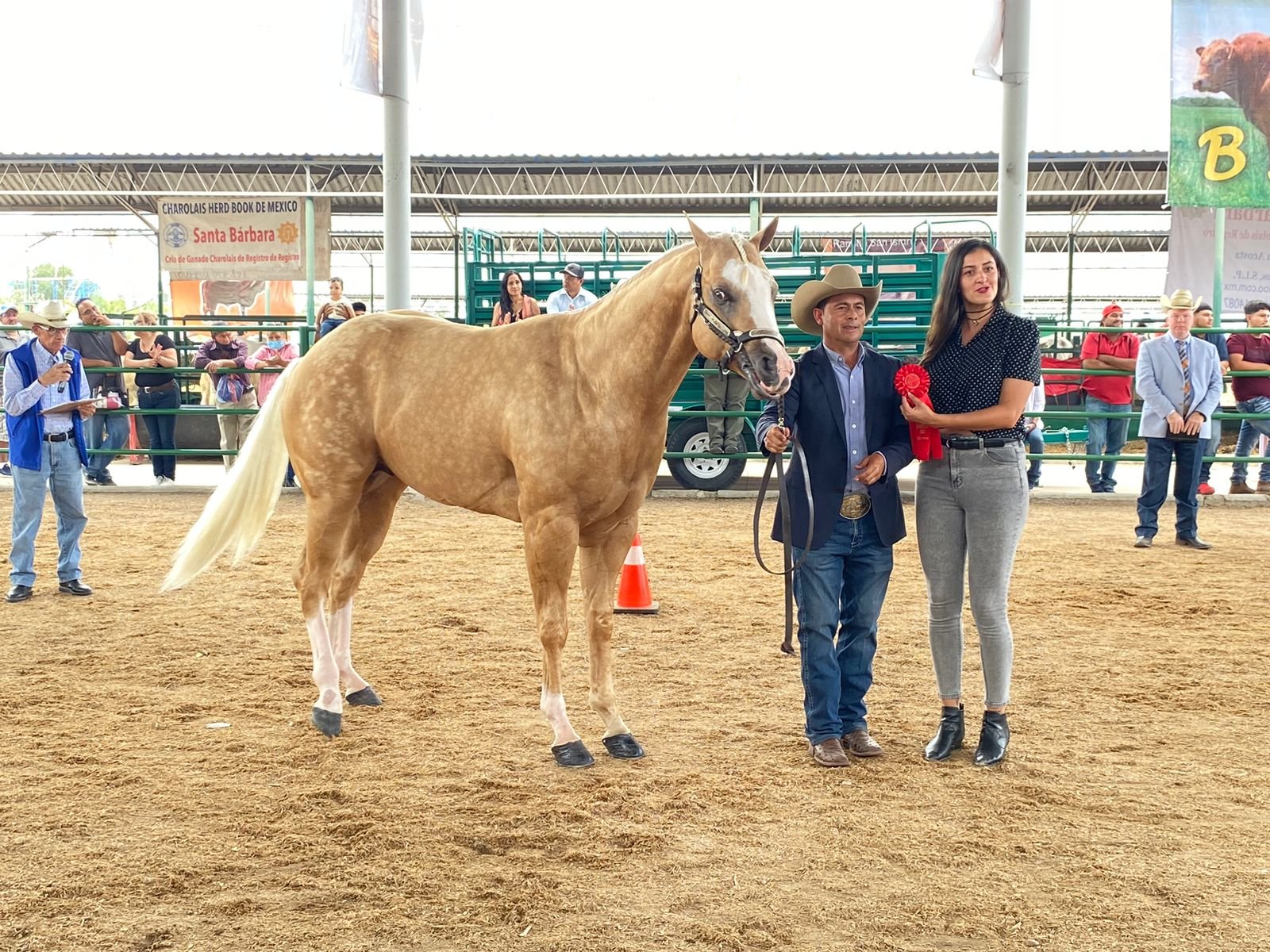 FENAPO LOGRA ÉXITO EN MUESTRA DE CABALLOS CUARTO DE MILLA 