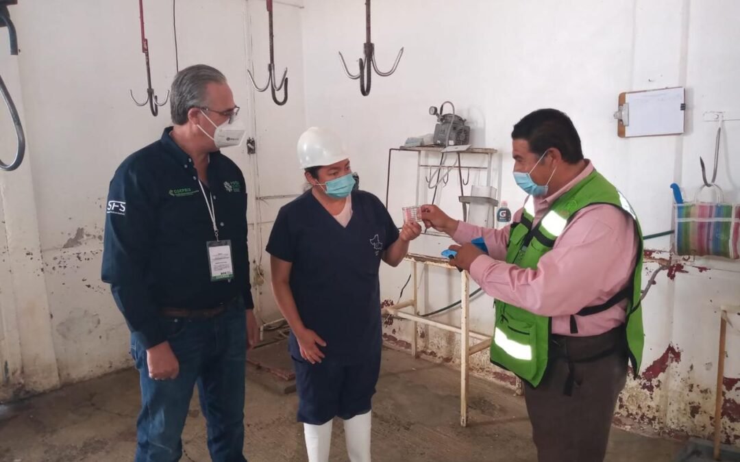 SE VIGILAN DE MANERA PERMANENTE RASTROS MUNICIPALES Y PRIVADOS