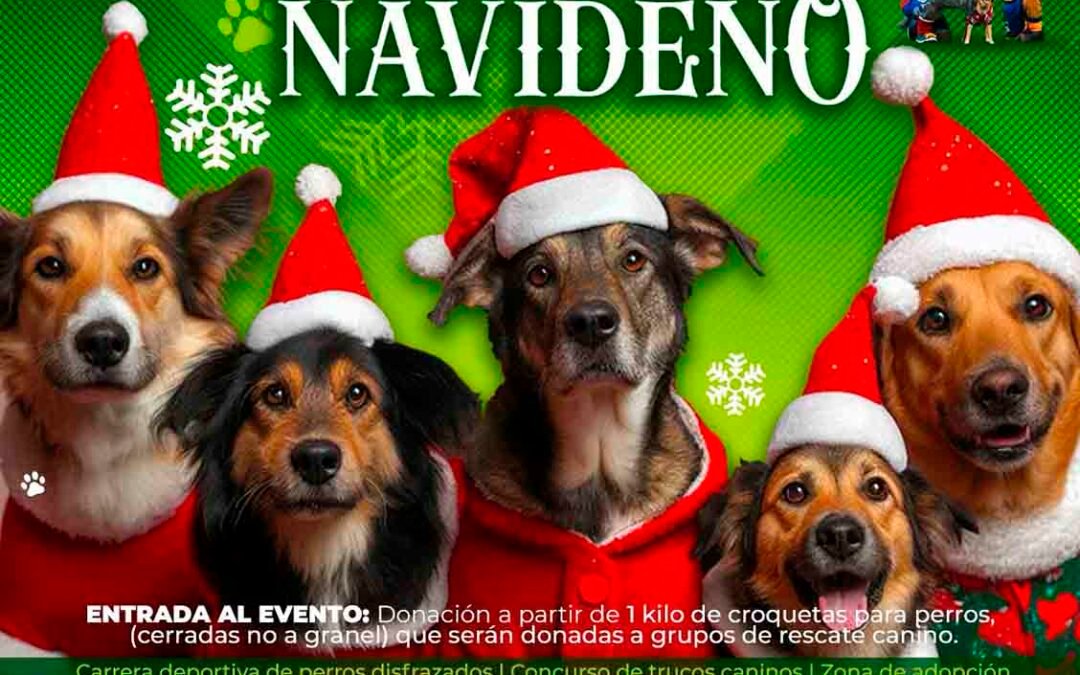 SAN LUIS POTOSÍ TENDRÁ PRIMER FESTIVAL CANINO NAVIDEÑO
