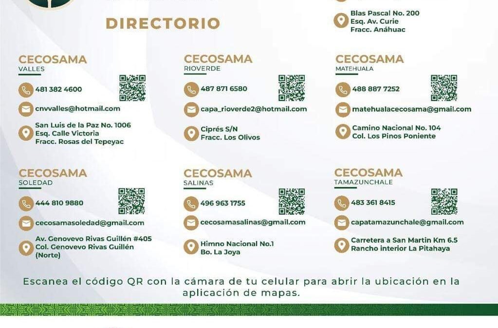 ACCIONES PARA PREVENIR ADICCIONES EN ADOLESCENTES EN SLP