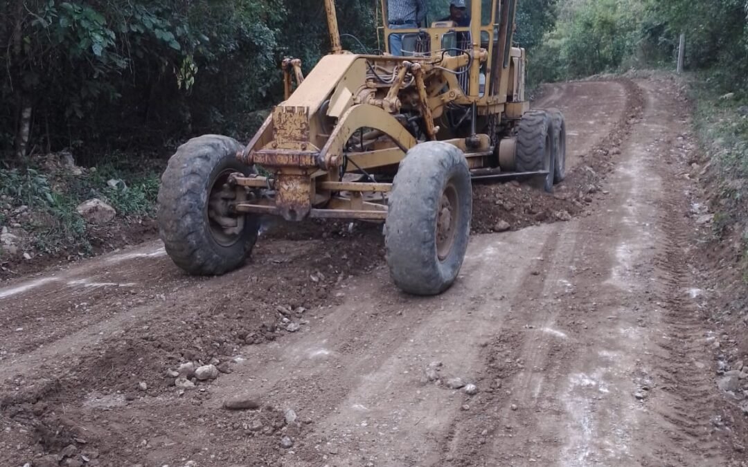 GOBIERNO MEJORA CAMINOS CAÑEROS EN TAMASOPO