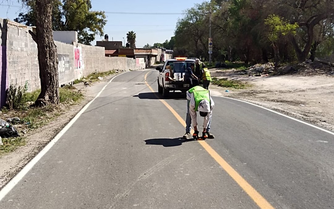 MÁS DE 200 KILÓMETROS DE CAMINOS REHABILITADOS EN ENERO