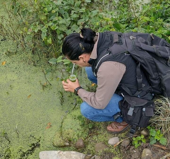 SALUD  MANTIENE  ACCIONES DE COMBATE AL DENGUE Y ENFERMEDADES POR VECTOR