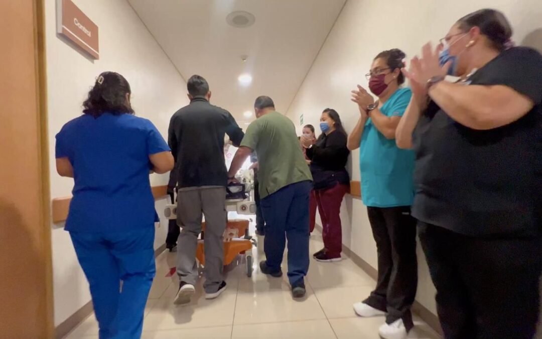 DÍA MUNDIAL DEL TRASPLANTE DE ÓRGANOS Y TEJIDOS