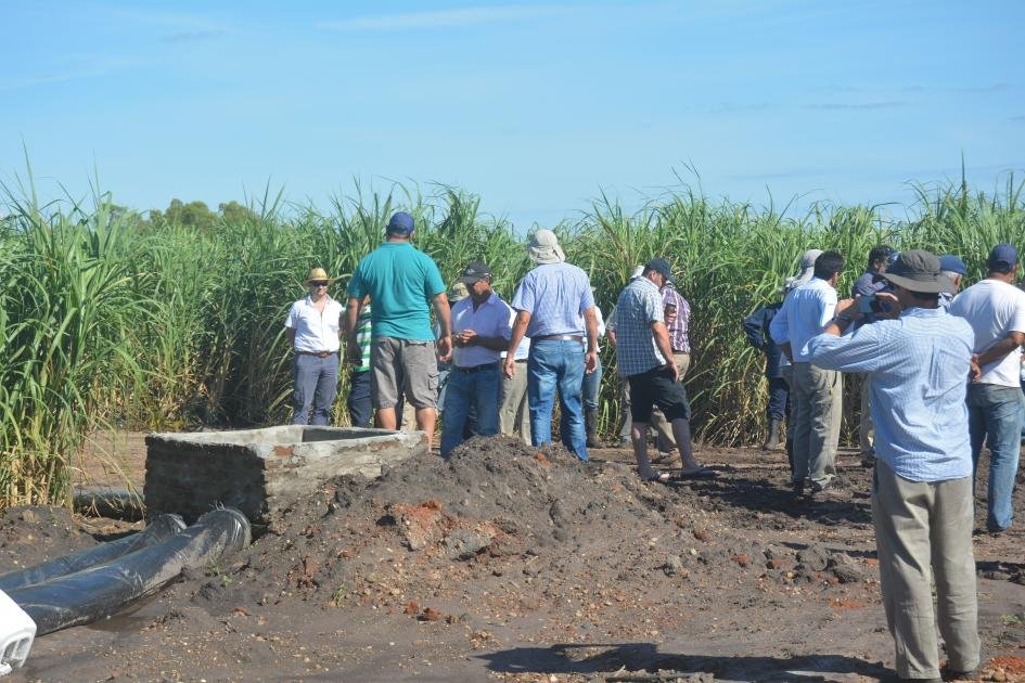 ESTADO Y FEDERACIÓN SE REÚNEN CON CAÑEROS PARA INHIBIR PLAGAS
