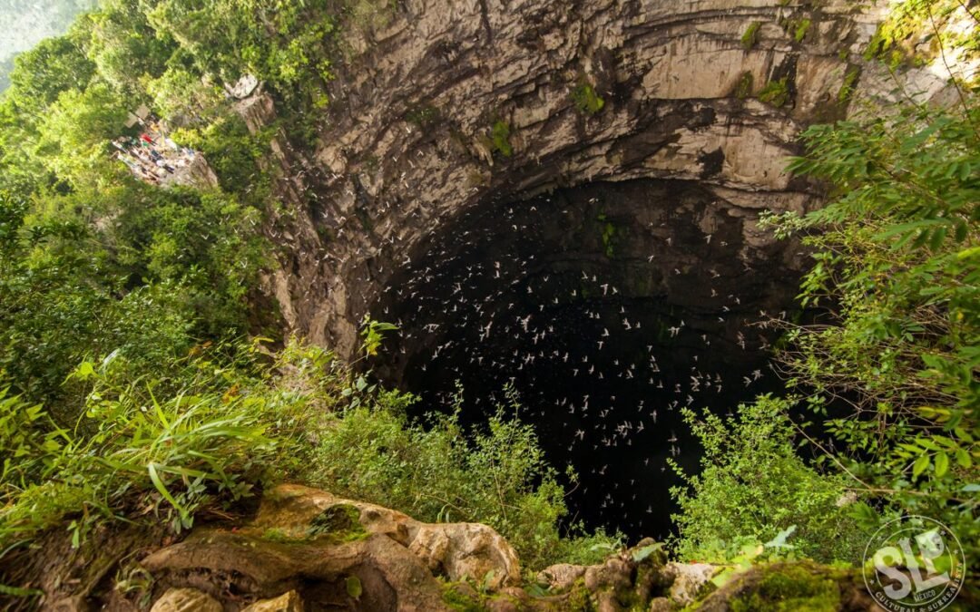TRES ATRACTIVOS NATURALES DE LA HUASTECA NOMINADOS A «MÉXICO DESCONOCIDO 2024»