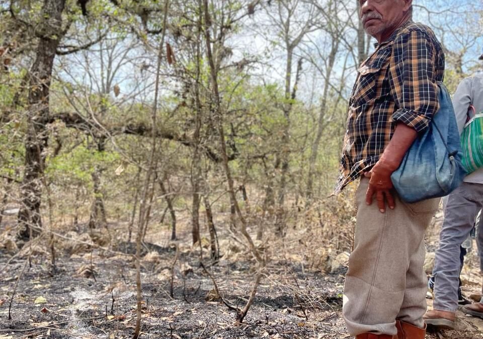 COMUNIDADES RECIBEN ASESORÍA EN PROTECCIÓN FORESTAL