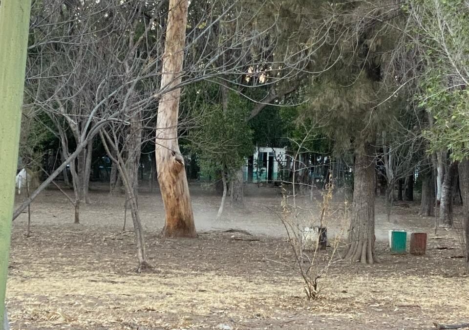 EJECUTIVO ESTATAL REHABILITARÁ PARQUE MORALES