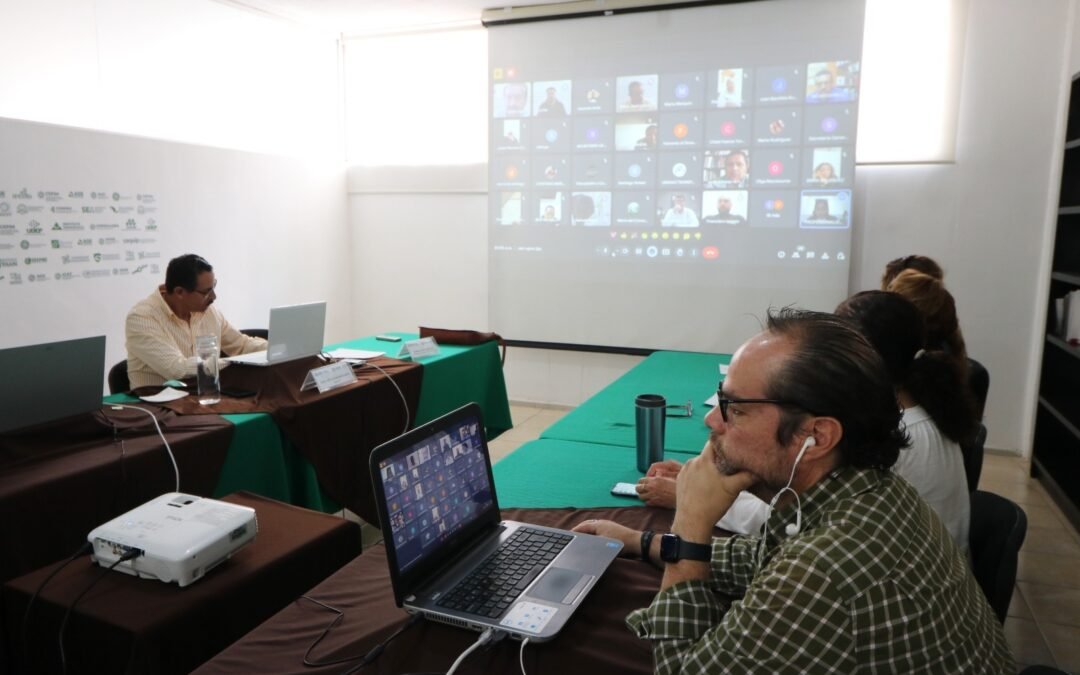 IMPULSAN ACCIONES DE PROTECCIÓN MEDIOAMBIENTAL