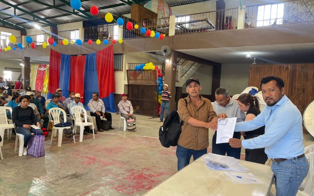 JUEZAS Y JUECES COMUNITARIOS: TRADICIÓN Y EFICIENCIA