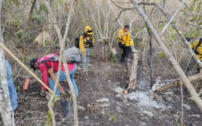 COMBATEN DOS INCENDIOS FORESTALES ACTIVOS EN EL ESTADO