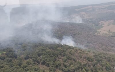 GOBIERNO ESTATAL ATIENDE INCENDIO FORESTAL EN TAMASOPO