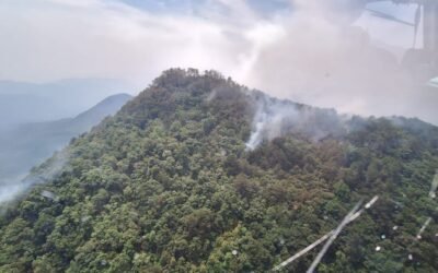 GOBIERNO ESTATAL ATIENDE INCENDIO FORESTAL EN XILITLA