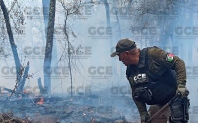 GUARDIA CIVIL ESTATAL SE SUMA A COMBATE DE INCENDIOS FORESTALES