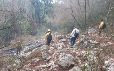 GOBIERNO ESTATAL CONTROLA TRES DE LOS INCENDIOS FORESTALES ACTIVOS EN SLP