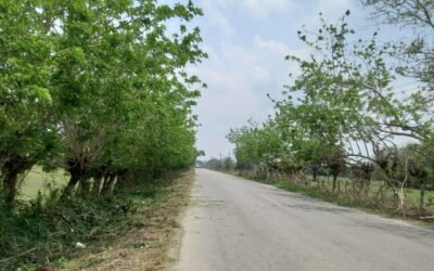 LLEVAN CONSERVACIÓN DE CAMINOS A TAMPACÁN