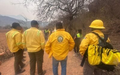 MÁS ELEMENTOS Y EQUIPO AÉREO SE SUMAN A COMBATE DE INCENDIO FORESTAL EN SANTA MARÍA