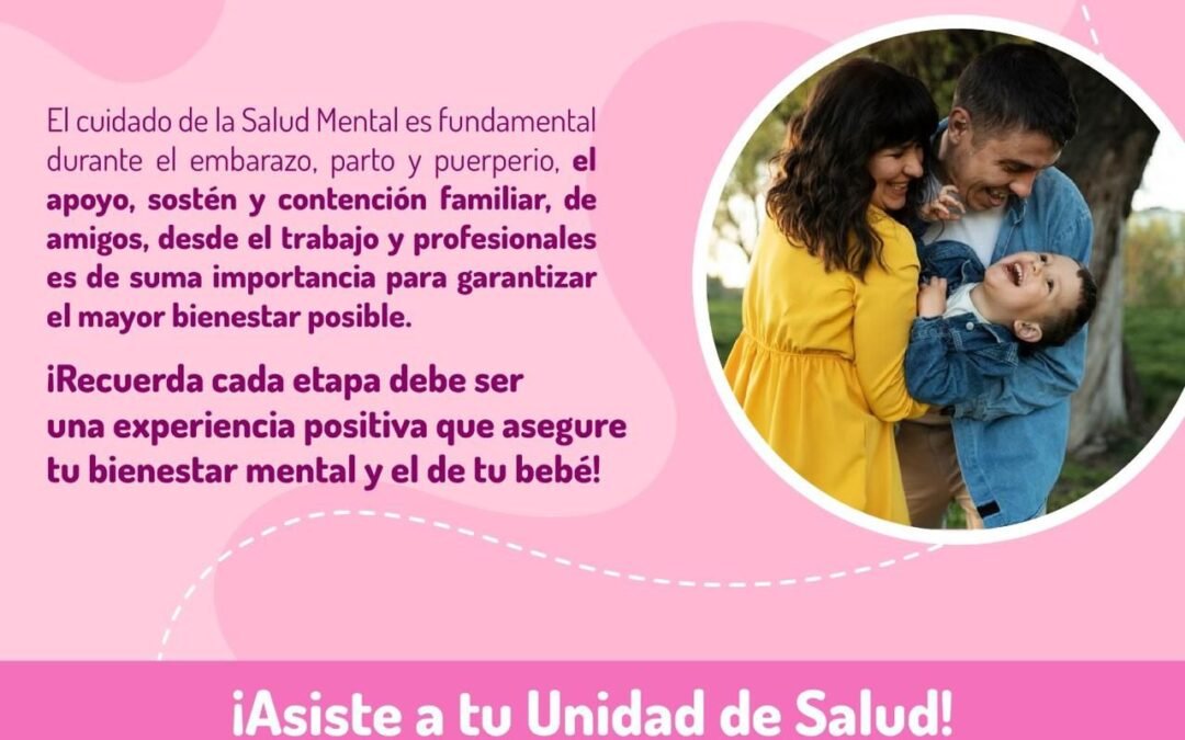 DÍA NACIONAL DE LA SALUD MATERNA Y PERINATAL: “POR UNA ATENCIÓN POSITIVA DURANTE EL PUERPERIO”