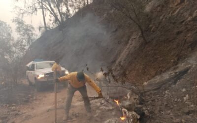 CONTINÚAN TRABAJOS DE COMBATE A INCENDIO FORESTAL EN SANTA MARÍA DEL RÍO