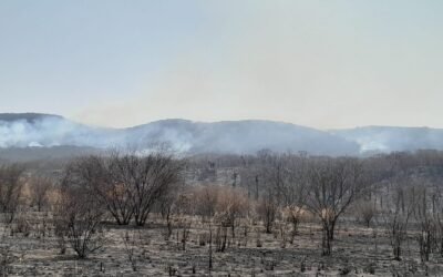 TRES HELICÓPTEROS Y BRIGADISTAS COMBATEN INCENDIO FORESTAL EN VALLES