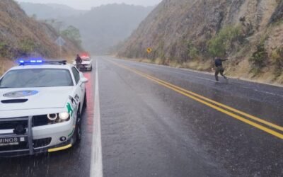ATIENDE GOBIERNO DEL ESTADO AFECTACIONES POR DEPRESIÓN TROPICAL