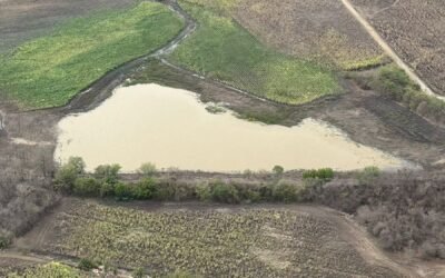 CONSEJO ESTATAL DE PROTECCIÓN CIVIL EVALÚA EFECTO DE LAS LLUVIAS EN LA HUASTECA
