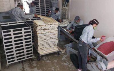 EJECUTIVO ESTATAL COMBATE PLAGA MOSCA DE LA FRUTA