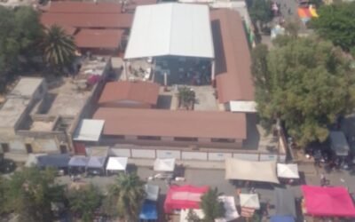 ELECCIONES SEGURAS 2024