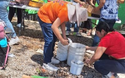 GOBIERNO ESTATAL LANZA PROYECTO DE REFORESTACIÓN CON APOYO DEL ICAT