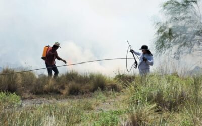 GOBIERNO ESTATAL MANTIENE COMBATE A INCENDIOS FORESTALES