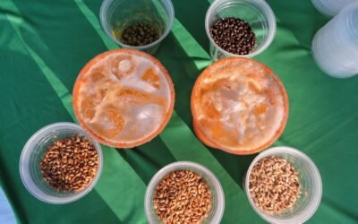 GOBIERNO ESTATAL RECONOCE A PRODUCTORES AGROPECUARIOS