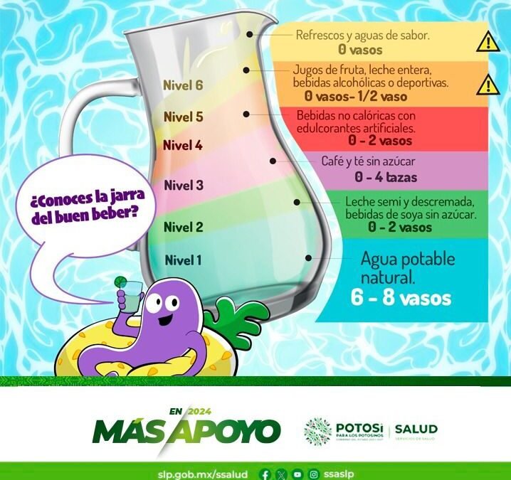 REFORZAR HIDRATACIÓN SALUDABLE