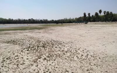LAGO DEL TANGAMANGA, LIMPIO Y EN CONDICIONES PARA TEMPORADA DE LLUVIAS