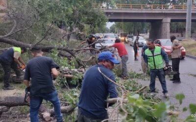 PROTECCIÓN CIVIL MANTUVO ATENCIÓN PERMANENTE DURANTE JORNADA ELECTORAL