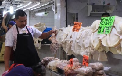 SAN LUIS POTOSÍ LOGRA RÉCORD EN FORMALIDAD LABORAL