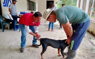 DÍA MUNDIAL DE LAS ZOONOSIS, NECESARIO PREVENIR Y CONTROLAR LAS  ENFERMEDADES EN LOS ANIMALES.