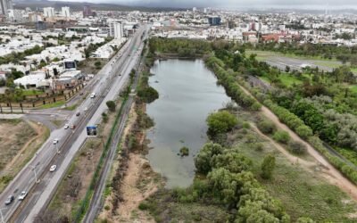GOBIERNO ESTATAL RESTAURARÁ BOSQUES URBANOS TANGAMANGA