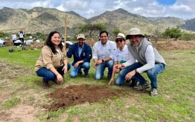 GOBIERNO ESTATAL Y SECTOR PRIVADO REFORESTAN SIERRA DE SAN MIGUELITO