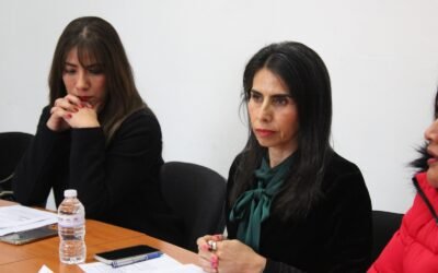 REALIZA IMES SESIÓN DEL OBSERVATORIO DE PARTICIPACIÓN POLÍTICA DE LAS MUJERES