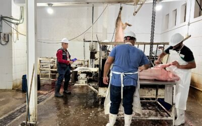 SE VIGILAN DE MANERA PERMANENTE RASTROS MUNICIPALES Y PRIVADOS