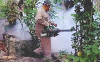 ARRANCA 2ª JORNADA NACIONAL DE LUCHA CONTRA EL DENGUE 2024