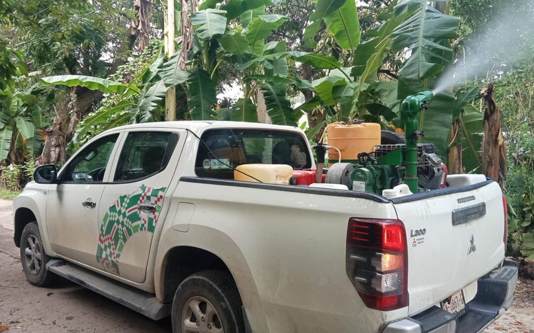 MANTIENE SALUD ACCIONES DE COMBATE A DENGUE