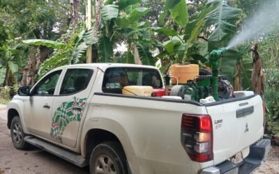 MANTIENE SALUD ACCIONES DE COMBATE A DENGUE