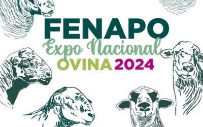 GOBIERNO ESTATAL PREPARA MUESTRA GANADERA EN LA FENAPO 2024
